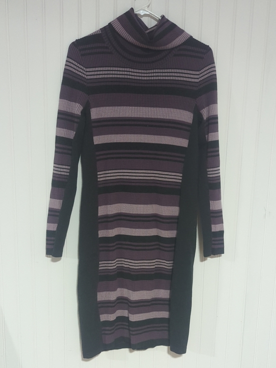 Etcetera Dresses & Skirts - E3 by Etcetra Striped Turtleneck Sweater Dress